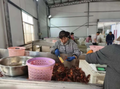 好水育好虾！怀远小龙虾养殖面积冲破8万亩